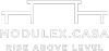 Modulex